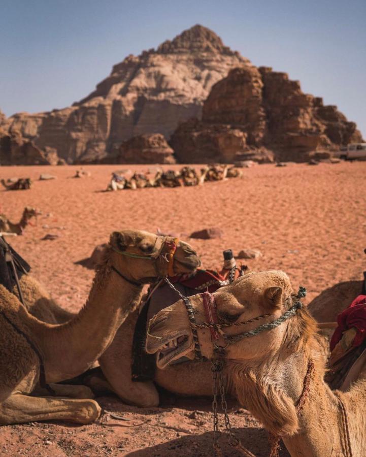 Wadi Rum Camp Екстер'єр фото